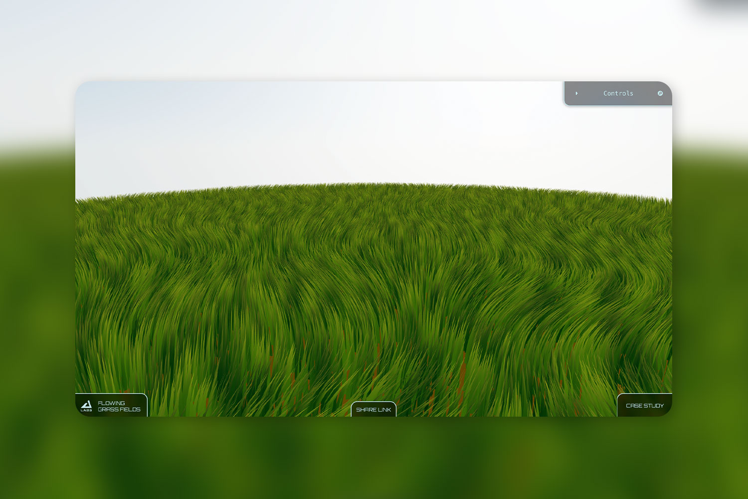Showcase of grass field.